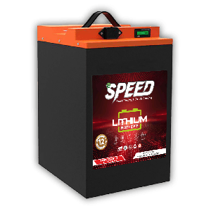 Espeed E Scooter Lithium Battery 48v 30Ah 1440Wh